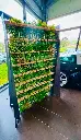 Mur A Champagne 108 Fl