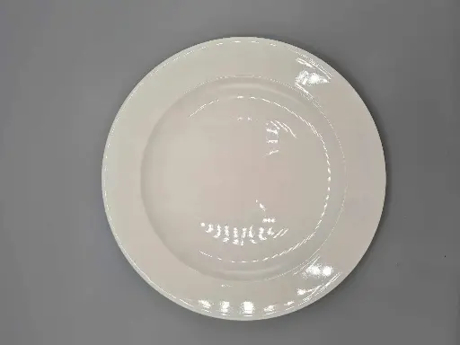Plate 25.5 Cm